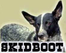 a skidboot 1